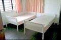 Macpherson Road (D13), Terrace #175912782